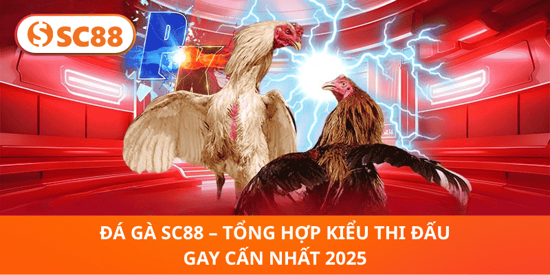Đá Gà SC88 – Tổng Hợp Kiểu Thi Đấu Gay Cấn Nhất 2025