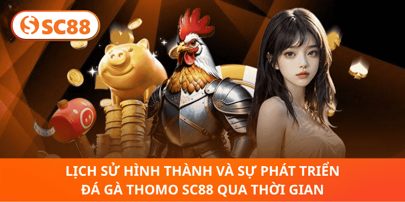 Lịch Sử Hình Thành Và Sự Phát Triển Đá Gà Thomo sc88 Qua Thời Gian