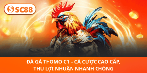SC88 Đá Gà Thomo C1 – Cá Cược Thông Minh, Lợi Nhuận Nhanh